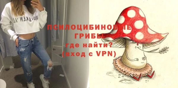 гашик Волосово