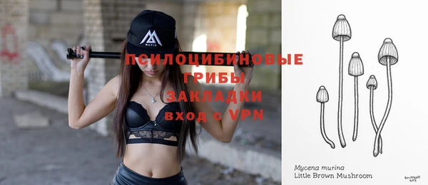 ГАЛЛЮЦИНОГЕННЫЕ ГРИБЫ Володарск