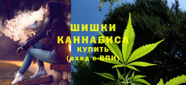 гашик Волосово