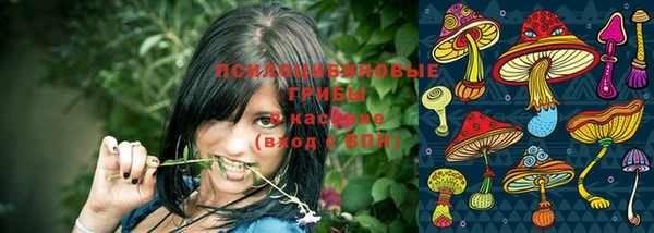 гашик Волосово