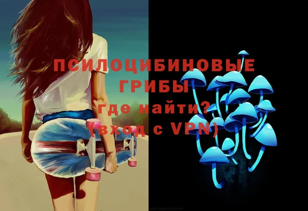 гашик Волосово