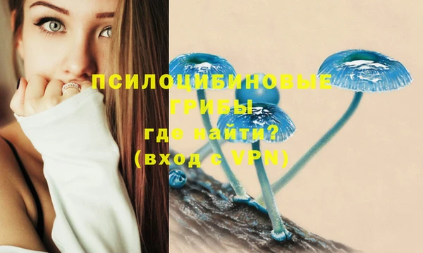 гашик Волосово