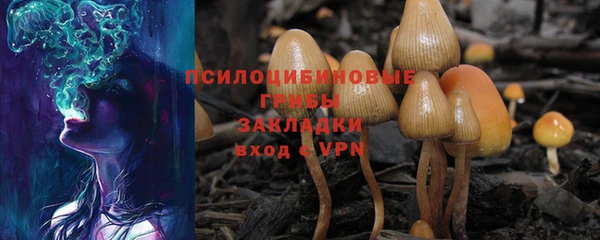 трава Волоколамск