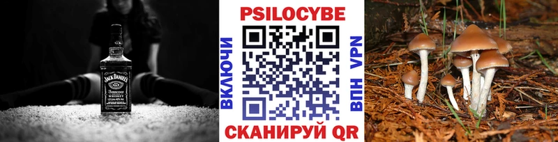 Псилоцибиновые грибы мицелий  Евпатория 